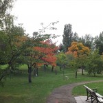 Nakajima park (11)_R